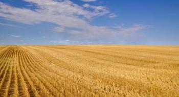 Жнива-2019: В Україні зібрано 42,4 млн тонн зерна Рис.1