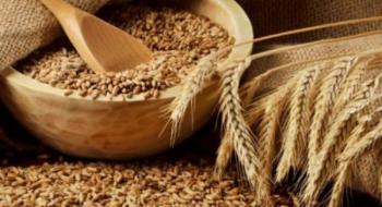 Жнива-2019: В Україні зібрано понад 45 млн тонн зерна Рис.1