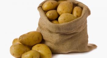 Думка: З європейською насіннєвою картоплею Україна імпортує віруси та хвороби Рис.1