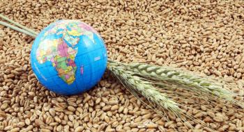 Експорт зерна перевищив 17,5 млн тонн Рис.1