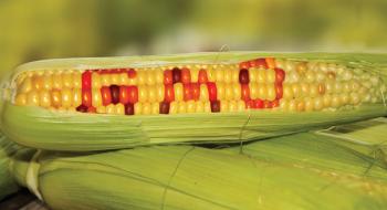 ГМО-рослини виявилися корисними для людей Рис.1