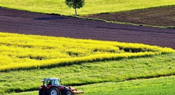 МВФ і Україна мають спільні інтереси щодо земельної реформи, – Милованов Рис.1