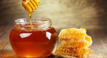 Названо ТОП-3 найбільших споживачів українського меду Рис.1