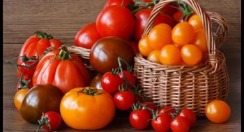 Україна імпортувала річний обсяг томатів Рис.1