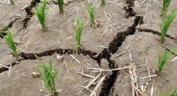 В Україні 50% с/г земель залишаються у стані засухи – Укргідрометеоцентр Рис.1