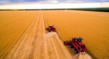 Жнива-2019: В Україні зібрано 62 млн тонн зерна Рис.1