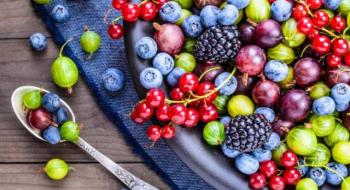 Чому Україна так дешево продає овочі, фрукти та ягоди на експорт? Рис.1