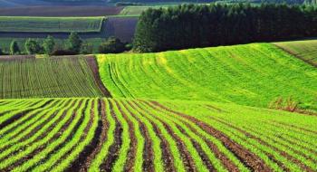 Держгеокадастр вніс дані про понад 30 млн га сільськогосподарських земель Рис.1