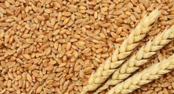 Україна відправила на експорт 22,8 млн т зерна Рис.1