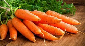 Українська морква дешевшає швидше, ніж інші овочі Рис.1