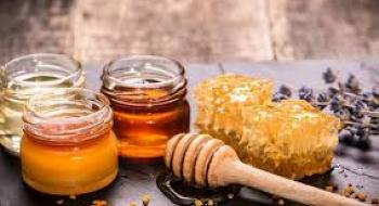 Український мед користується підвищеним попитом на ринках Європи Рис.1