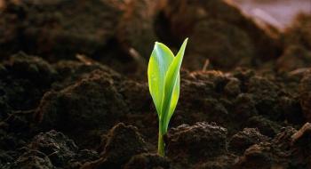 В Україні створено Асоціацію, яка опікуватиметься збереженням ґрунтів Рис.1