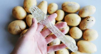 В’єтнамські студенти створили біорозкладний посуд і пакети з картоплі Рис.1