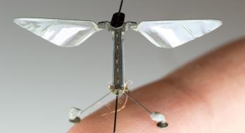 Американські розробники створили літаючих мікроскопічних роботів для запилення рослин Рис.1
