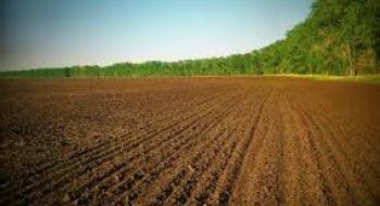 Держгеокадастр відкрив доступ до дозволів про перенесення родючого шару ґрунту Рис.1