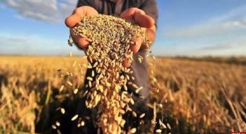 Для малих та середніх фермерів України створять фонд часткового кредитування землі Рис.1