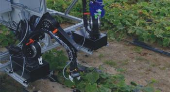 Канадські вчені розробляють робота для збору огірків Рис.1