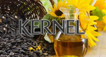 «Кернел» збільшить річний обсяг переробки соняшнику на 1 млн. тонн Рис.1