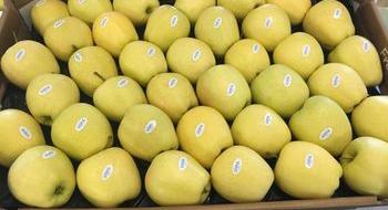 Компанія USPA fruit відправила першу партію українських яблук в Дубаї Рис.1