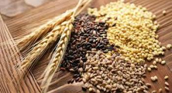 Насіннєва асоціація ініціює визнання вітчизняних виробників насіння в ЄС Рис.1