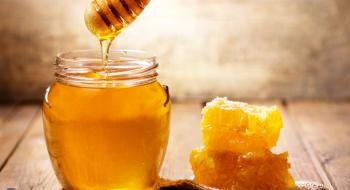 Право на експорт меду до ЄС мають 72 українських виробника Рис.1