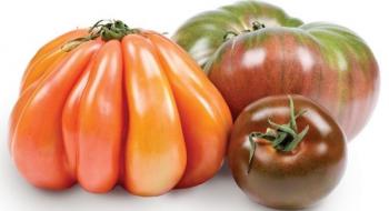 У США презентували нові сорти різнокольорових томатів Рис.1