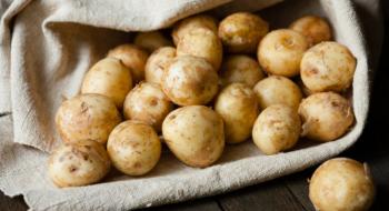 Україна почала імпортувати картоплю з РФ Рис.1