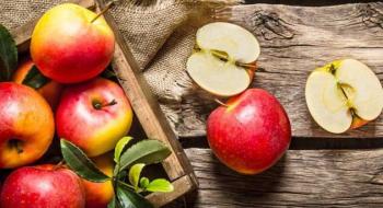 Вітчизняні виробники знаходяться в очікуванні відкриття ринку яблук Індії Рис.1
