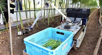 Японські фермери орендують робота-збирача овочів Рис.1