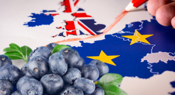 Brexit послабить позиції конкурентів України на британському ринку ягід - експерт Рис.1