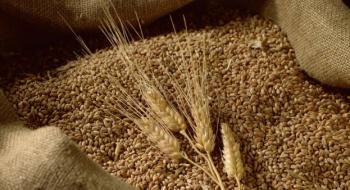 ДПЗКУ уклало договори на купівлю у фермерів майбутнього врожаю зерна Рис.1