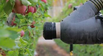 Kubota інвестує в яблукозбиральних роботів Рис.1