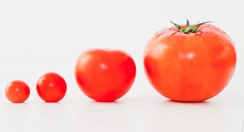 Невідомі ланки еволюції томатів допоможуть створювати стійкі та смачні сорти Рис.1