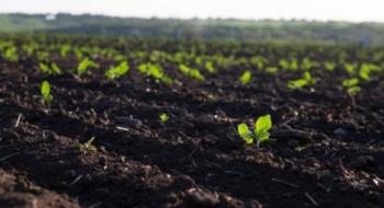 Стан українських ґрунтів стає проблемою екологічної безпеки країни Рис.1