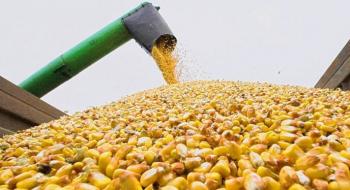 Україна експортуватиме кукурудзу до Зімбабве Рис.1
