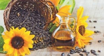 Україна — світовий лідер з виробництва соняшнику та соняшникової олії Рис.1
