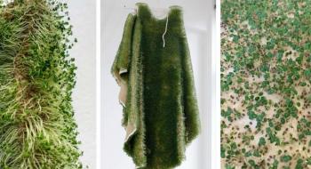 Українська дизайнерка створила одяг з рослинного “живого хутра” Рис.1