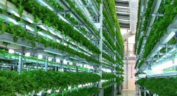  В Швейцарії відкриють першу роботизовану вертикальну ферму Рис.1