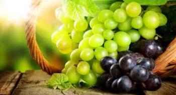 В Україні вдвічі зменшилась переробка винограду Рис.1