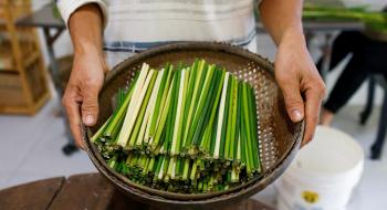 В'єтнамець виготовляє трав'яну альтернативу пластиковим трубочкам Рис.1
