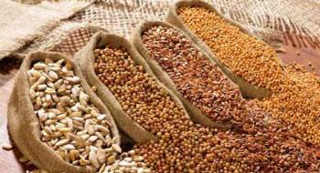 Аграрний комітет Ради підтримав законопроєкти по сертифікаці насіння і ЗЗР Рис.1