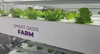 Smart Oasis Farm та університет НУБіПУ розвиватимуть технології вертикальних ферм в Україні Рис.1