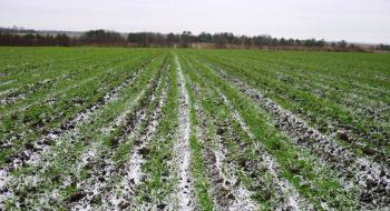 Синоптики віщують аграріям весняну посуху на полях Рис.1