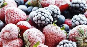 T.B. Fruit запускає напрямок шокового заморожування овочів, фруктів та ягід Рис.1