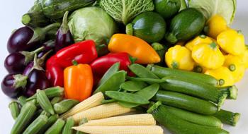 Бебі-овочі – нова ніша для фермерського бізнесу Рис.1