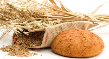 Хліб може здорожчати через збільшення експорту зерна Рис.1