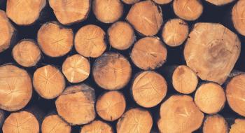 Продаж деревини поза електронним обліком з квітня стане незаконним Рис.1
