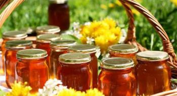 Результати перевірки українського меду на якість: виявлено залишки антибіотиків Рис.1