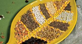 В Україні планують спростити імпорт насіння нових сортів Рис.1