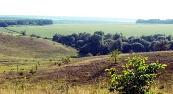 Як отримати земельну ділянку в Україні: покрокова інструкція Рис.1
